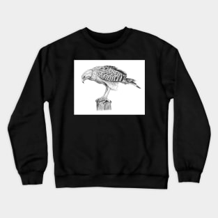 The Hawk Crewneck Sweatshirt